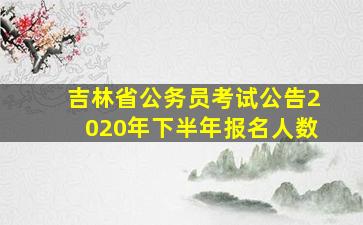 吉林省公务员考试公告2020年下半年报名人数