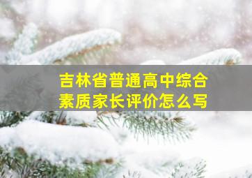 吉林省普通高中综合素质家长评价怎么写