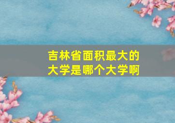 吉林省面积最大的大学是哪个大学啊