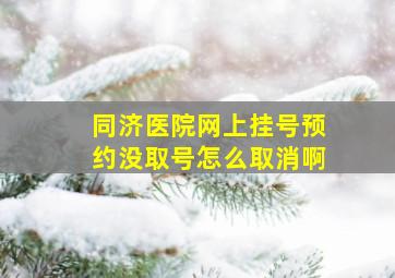 同济医院网上挂号预约没取号怎么取消啊