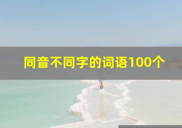 同音不同字的词语100个