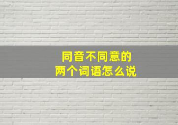 同音不同意的两个词语怎么说