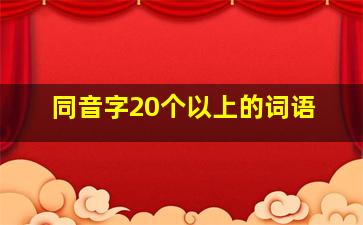 同音字20个以上的词语