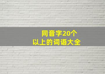 同音字20个以上的词语大全