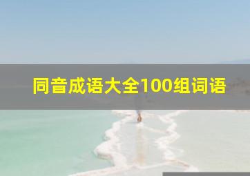 同音成语大全100组词语