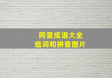 同音成语大全组词和拼音图片