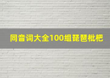 同音词大全100组琵琶枇杷