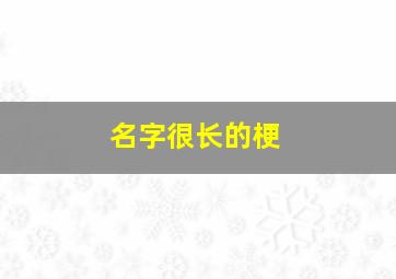 名字很长的梗