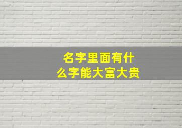 名字里面有什么字能大富大贵