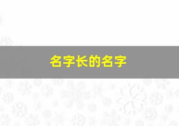 名字长的名字