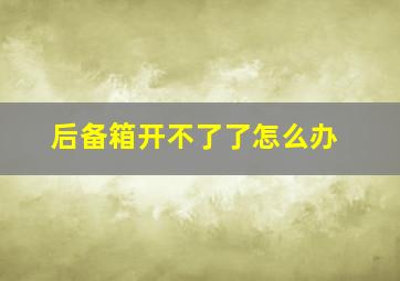 后备箱开不了了怎么办