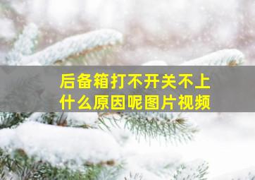 后备箱打不开关不上什么原因呢图片视频