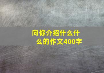 向你介绍什么什么的作文400字