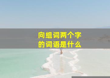 向组词两个字的词语是什么