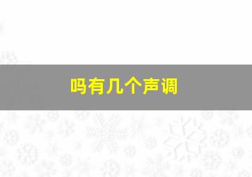 吗有几个声调