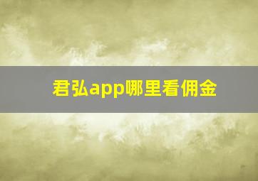 君弘app哪里看佣金