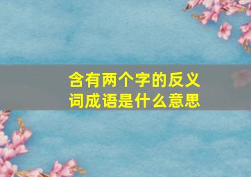 含有两个字的反义词成语是什么意思