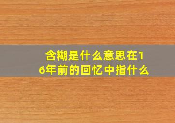 含糊是什么意思在16年前的回忆中指什么