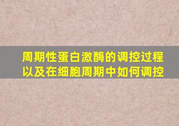 周期性蛋白激酶的调控过程以及在细胞周期中如何调控