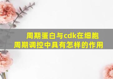 周期蛋白与cdk在细胞周期调控中具有怎样的作用