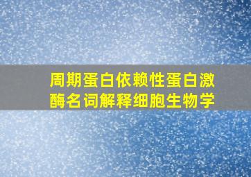 周期蛋白依赖性蛋白激酶名词解释细胞生物学