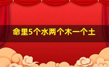 命里5个水两个木一个土