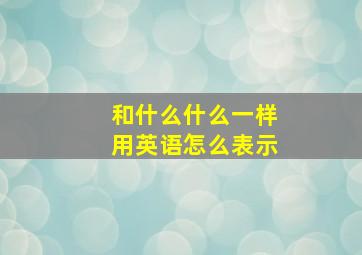 和什么什么一样用英语怎么表示