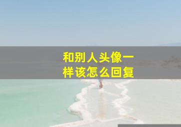 和别人头像一样该怎么回复