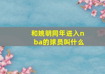 和姚明同年进入nba的球员叫什么