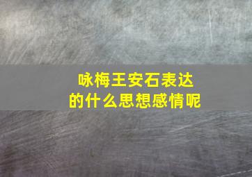 咏梅王安石表达的什么思想感情呢