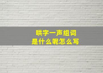 哄字一声组词是什么呢怎么写