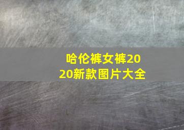 哈伦裤女裤2020新款图片大全