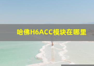 哈佛H6ACC模块在哪里