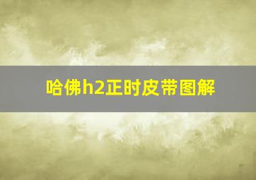 哈佛h2正时皮带图解