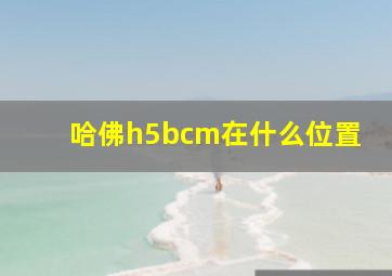 哈佛h5bcm在什么位置