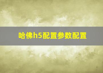 哈佛h5配置参数配置