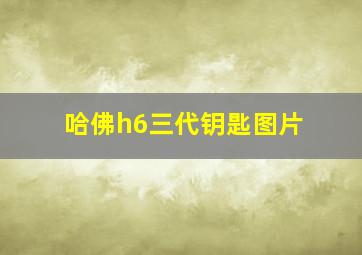 哈佛h6三代钥匙图片