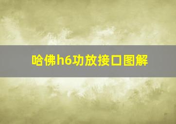 哈佛h6功放接口图解