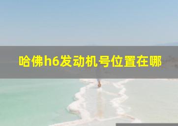 哈佛h6发动机号位置在哪