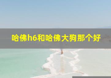 哈佛h6和哈佛大狗那个好