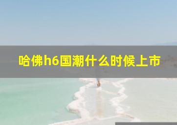 哈佛h6国潮什么时候上市