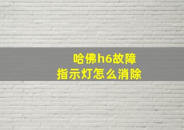 哈佛h6故障指示灯怎么消除