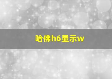 哈佛h6显示w