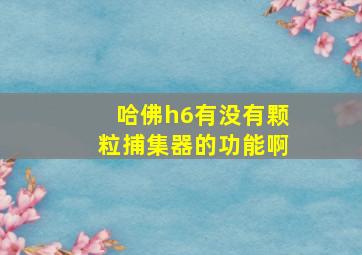 哈佛h6有没有颗粒捕集器的功能啊