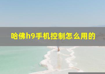 哈佛h9手机控制怎么用的