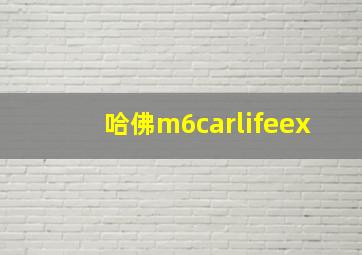 哈佛m6carlifeex