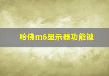 哈佛m6显示器功能键