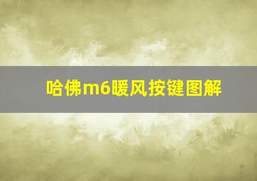 哈佛m6暖风按键图解