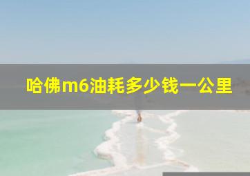 哈佛m6油耗多少钱一公里