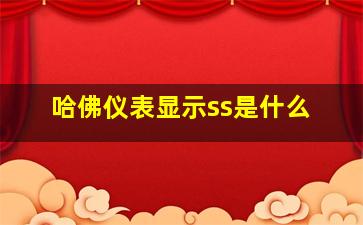 哈佛仪表显示ss是什么